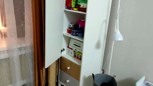 Обзор на шкаф-пенал Сильва Морти смотреть онлайн