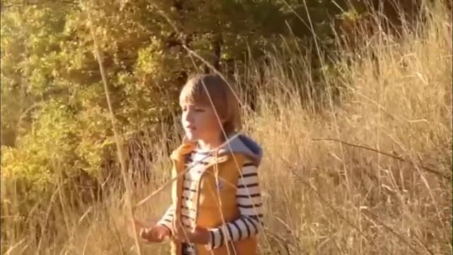 Стихи о родине смотреть онлайн