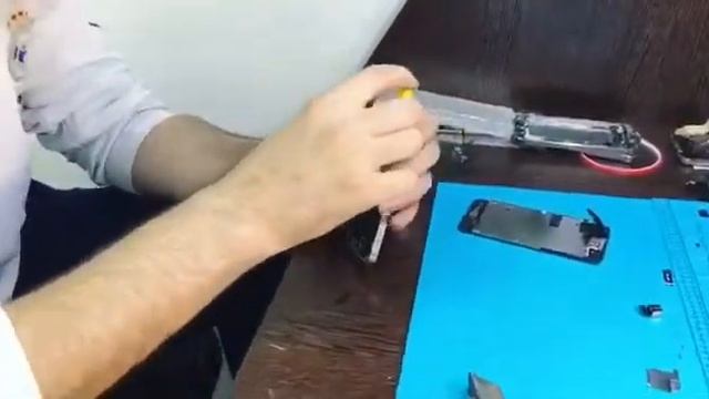 WhatsApp Video 2017 12 05 at 10 57 23 смотреть онлайн