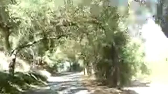 Gobernator Canyon Ride смотреть онлайн