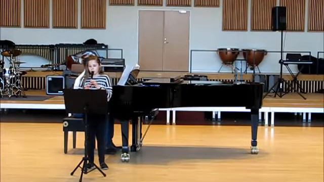 Scott Joplin - "Palm leaf rag" on soprano recorder смотреть онлайн