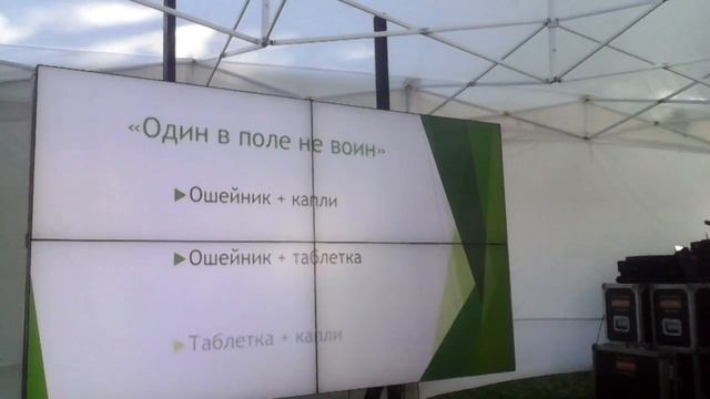 Лекция "Паразиты в квартире и у животных."Александра Голоскокова(к-ка Биоконтроль) смотреть онлайн
