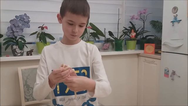 Кулинарные Фестивали и Конкурсы