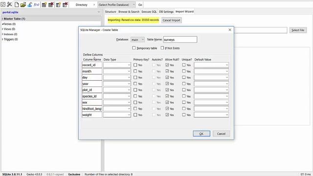 Importing Data in SQLlite manager for firefox смотреть онлайн