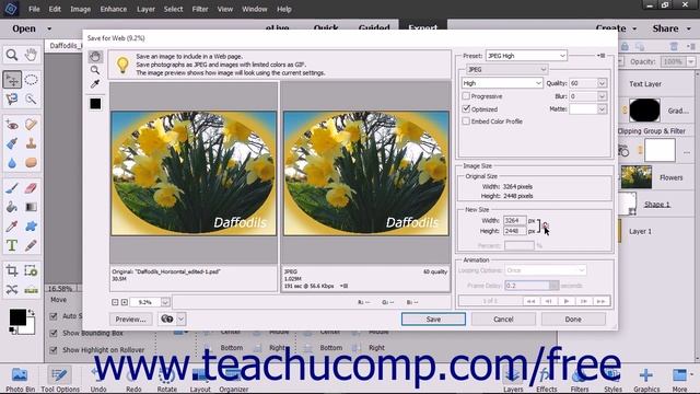 Photoshop Elements 15 Tutorial The Save for Web Dialog Box Adobe Training смотреть онлайн