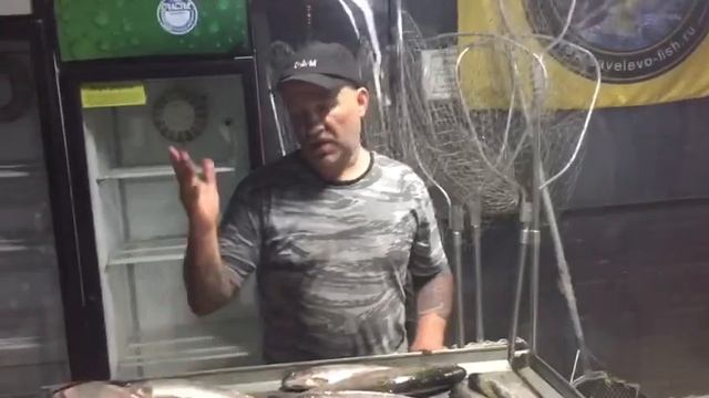 Как правильно ловить рыбу. смотреть онлайн