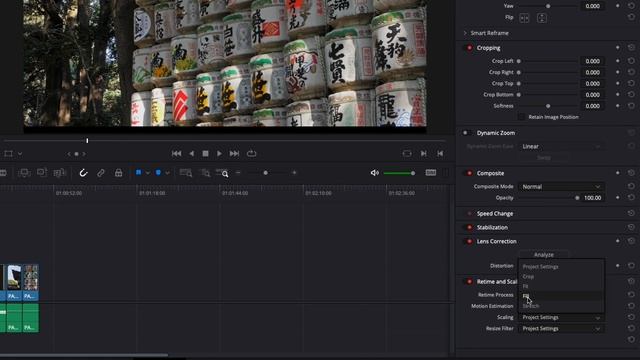 Adapt videos to the aspect ratio of your project in Davinci Resolve смотреть онлайн