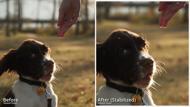 SONY FX30 - Test Footage - CATALYST BROWSE STABILIZATION - Side By Side - CINEMATIC VIDEO S-CINETON смотреть онлайн