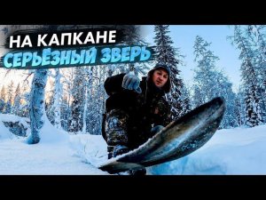 ДРАКА РЯБЧИКОВ. ЗВЕРЬ НА КАПКАНЕ. НЕ УПАСТЬ НА ОХОТНИЧЬИХ ЛЫЖАХ. КУКША