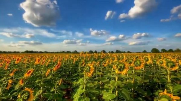 "Русь" - Александра Трошкова