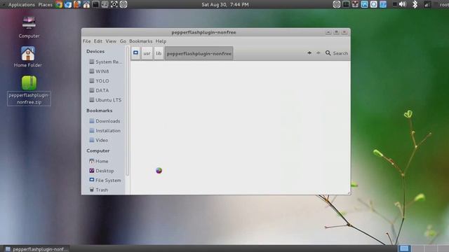 Install Adobe Flash Player for Chromium in Kali Linux смотреть онлайн