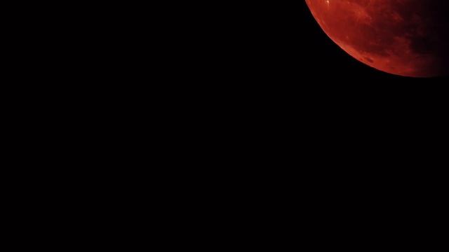 Nikon Coolpix P900 Moon Bird Flaps