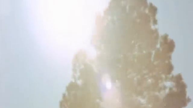 Steppenwolf - Born To Be Wild смотреть онлайн