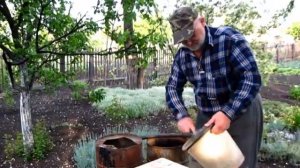 КУРИНЫЙ ПОМЁТ, пропорции  приготовления ПОЛИВОЧНОГО раствора