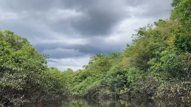 Sobrevivência na Selva Amazônica.(Part08). Muita chuva e frio na selva. смотреть онлайн
