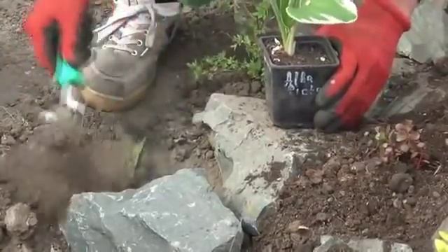 Альпийская горка своими руками Как сделать горку самому смотреть онлайн