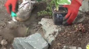 Альпийская горка своими руками  Как сделать горку самому