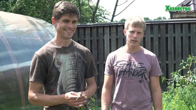 Секреты выращивания идеальной морковки. Почему она у нас не болеет и сочная? Наш опыт! смотреть онлайн