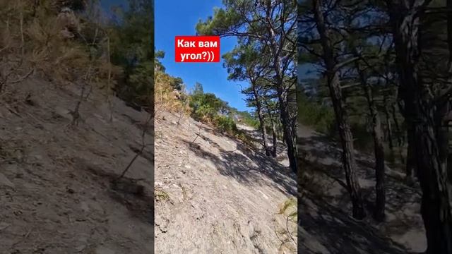 2я, газ в пол, тогда корни и камни как ровная дорога!) #2tlife #эндуро #мотоциклы #спорт #питбайк смотреть онлайн