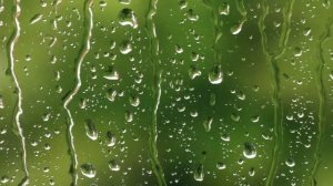 Waiting At The Window - Poem by A.A. Milne