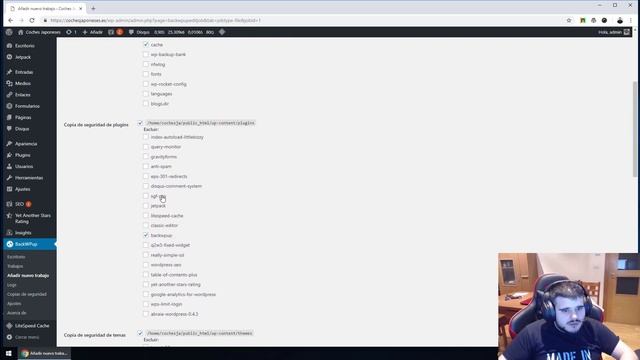Backup o copia de seguridad en WordPress con BackWPup смотреть онлайн