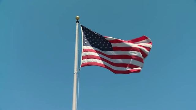 Collins Special Education School Bus Inside & Outside смотреть онлайн