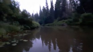 Рыбалка на карася и щуку, река кемчуг!