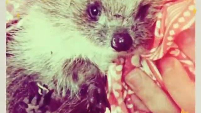 Мы с двоюродным племянником в деревне