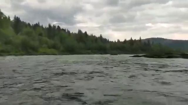 Ход аэролодки с двигателем Лифан-13л.с. Лодка 4200 мм, винт 1294мм, скорость до 22 км.ч. смотреть онлайн