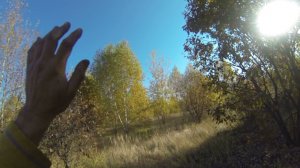 фекла нута и вальдшнеп