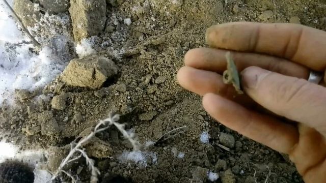 Зимний коп в Астрахани 29.01.2018 смотреть онлайн
