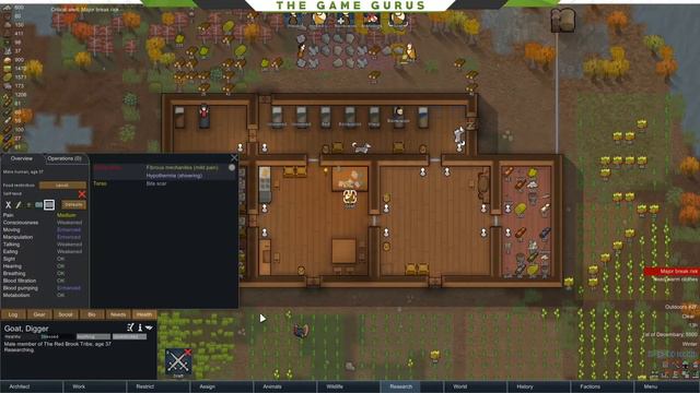 Let There Be Light! - Rimworld Survival Guide 2019 | EP. 004 смотреть онлайн