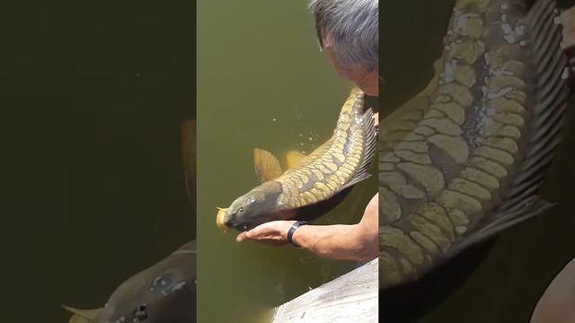 Рыбалка в Коновалово. смотреть онлайн