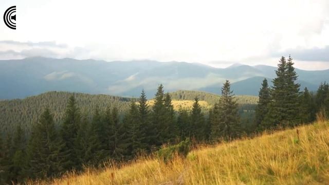 Медитация Александра Макеева. Остановка внутреннего диалога. смотреть онлайн