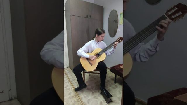 Пушкарев Тимофей, М. Джулиани Соната 1,2 части. смотреть онлайн