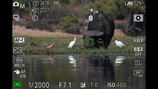 SONY A7iv - Field Tested by a CANON Shooter! смотреть онлайн
