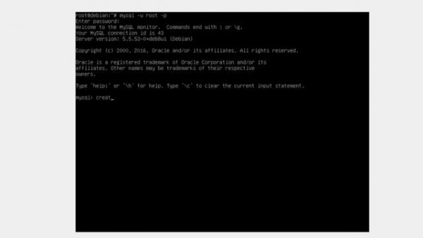 ASJ - Database Server Linux Debian 8.7