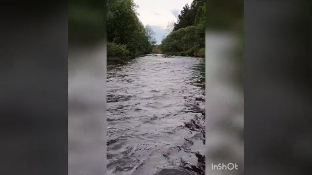 2 дня жогова на гидроциклах 2020