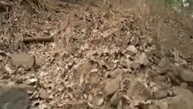 Голливудский фильм