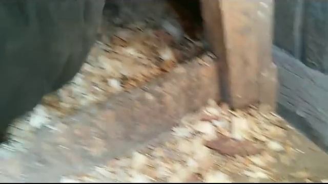 Очень вкусный суп//Сараи//Дрова смотреть онлайн