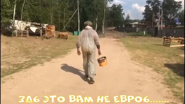Самый неприхотливый Дизельный Двигатель! смотреть онлайн
