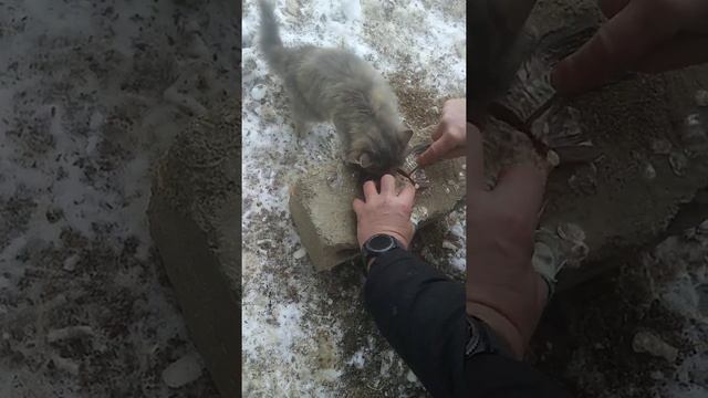 голод не тетка.... смотреть онлайн