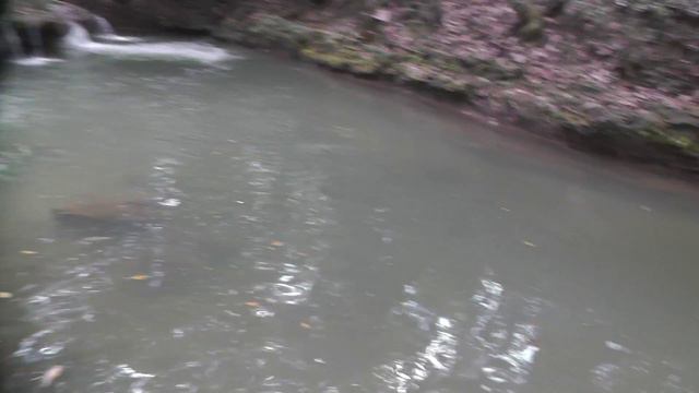 Доминикана. 7 водопадов. Водопад №3. смотреть онлайн