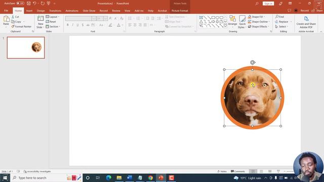 How to Crop a Picture into a Circle or any Shape in Microsoft PowerPoint смотреть онлайн