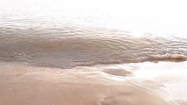 ВЛОГ: Релакс! Смотри и отдыхай! Белое море, песок, пляж, сосны🐚 смотреть онлайн