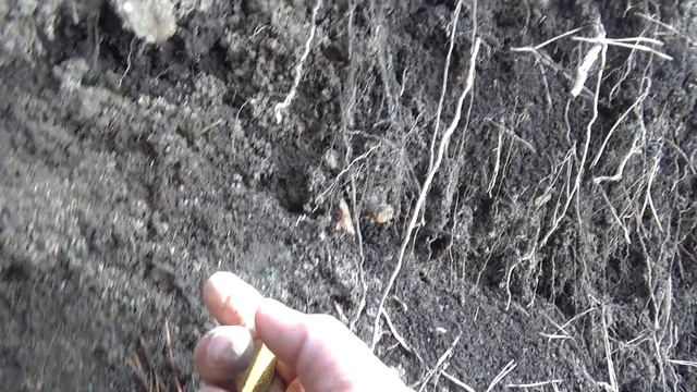 В горах снег а я ищу монеты смотреть онлайн