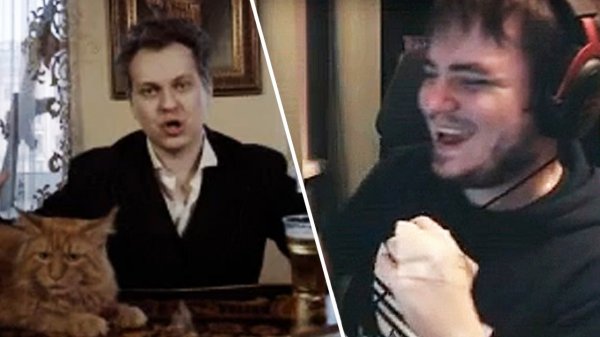 Мэддисон смотрит видосики