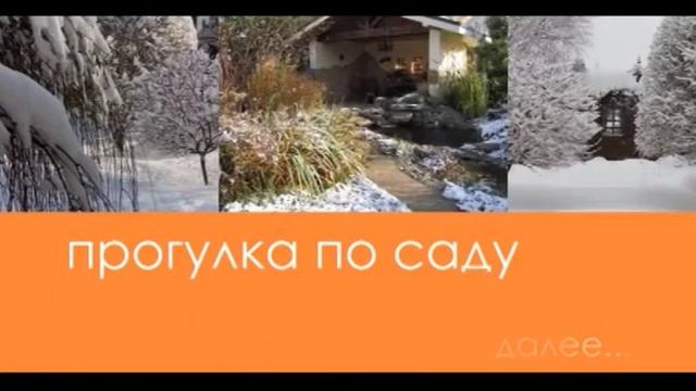 Прогулка по саду с Зоей Козичевой. Декоративность сада в зимнее время. смотреть онлайн