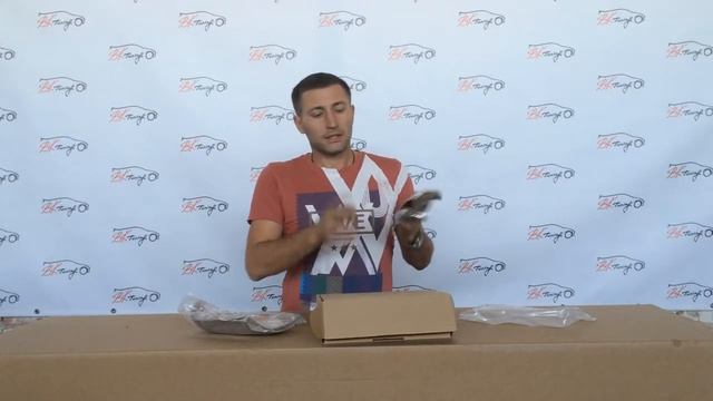 Накладки на зеркала BYD S6 C31 (БИД С6) смотреть онлайн