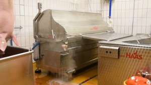 Комбинированный шпарчан-скребмашина Hubert Haas